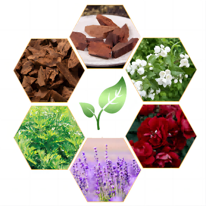 Backflow Incense Cones | Lulu Incense