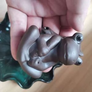 Antique Ceramic Frog with Lotus Leaf Incense Burning Holder for Sticks photo review