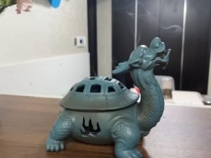 Dragon Turtle Shape Ceramic Incense Cone Burner Holder photo review