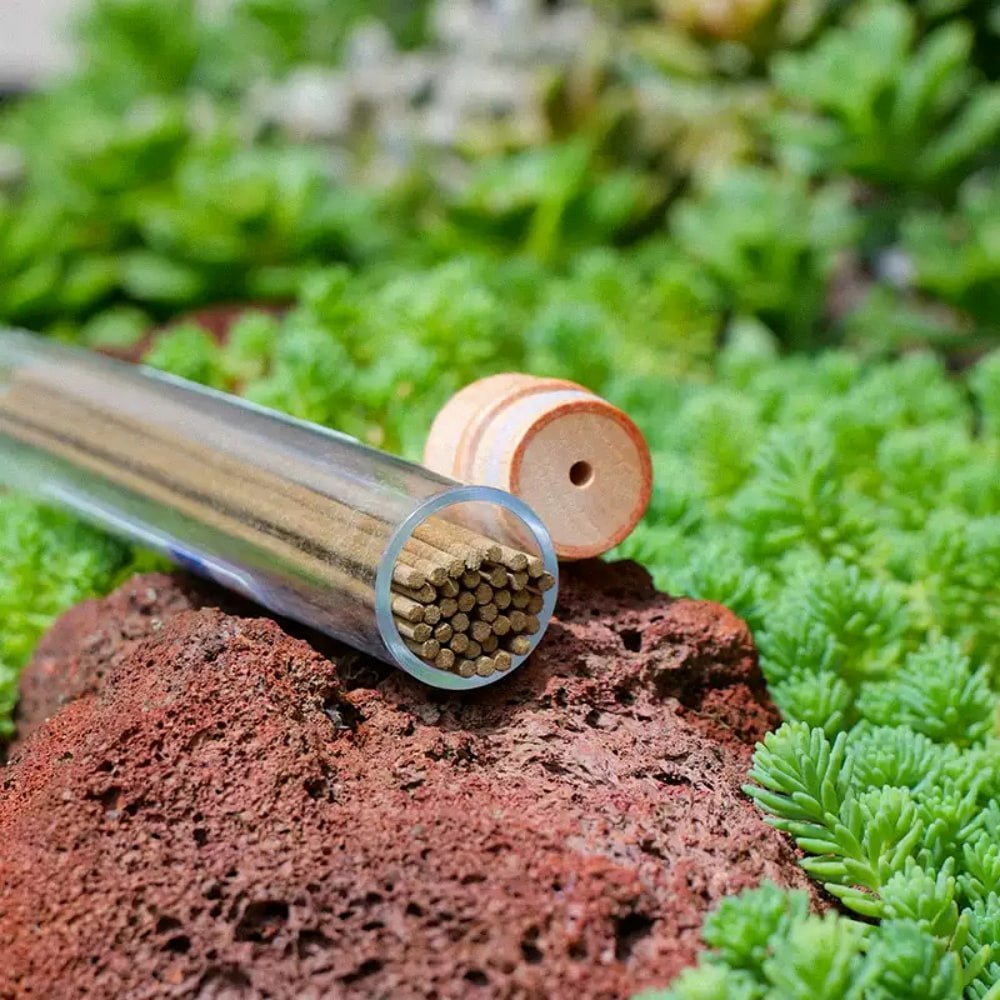 Best Natural Pure White Sage Stick Incense for for Cleansing Best Natural Pure White Sage Stick Incense for for Cleansing