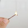 Best Nature Vietnam Nha Trang Authentic Wild Agarwood Incense Chips