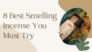 8 Best Smelling Incense You Must Try: Good & Nice Smelling Incense for Every Mood