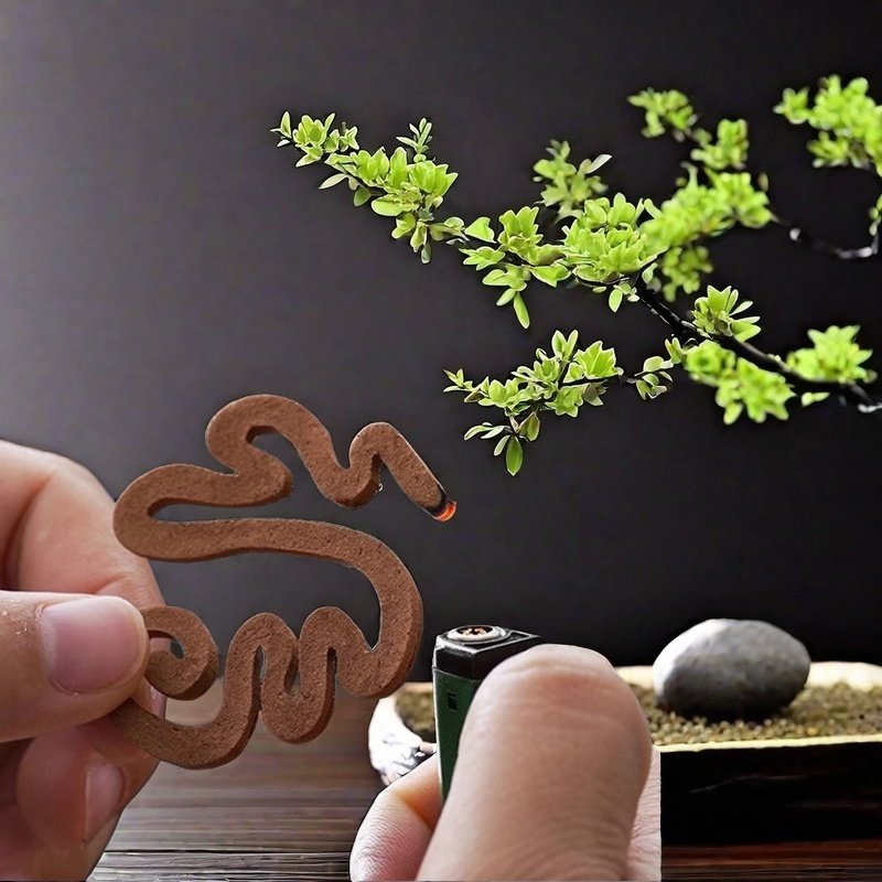 Natural Handmade Vietnamese Pure Agarwood Incense Coils Box for Sale Natural Handmade Vietnamese Pure Agarwood Incense Coils Box for Sale