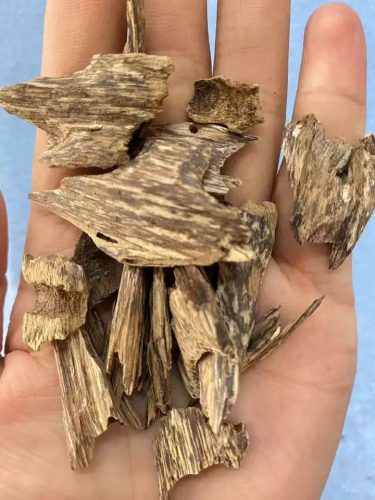 These oud wood chips are perfect for when you need to unwind after a long day