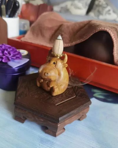 I got this for my office desk and it’s the cutest thing ever!