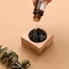 Best Aromatherapy Wood Diffuser with Fragrant Stone for Essential Oils