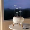 Best Jellyfish Remote Control Plug In Aroma Essential Oils Diffuser and Humidifier with Timer