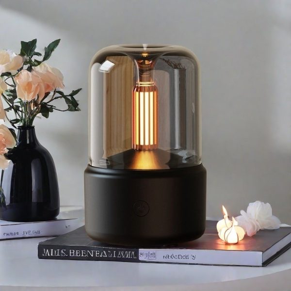 Best Rechargeable Ultrasonic Electric Diffuser and Humidifier for Essential Oils
