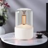 Best Rechargeable Ultrasonic Electric Diffuser and Humidifier for Essential Oils