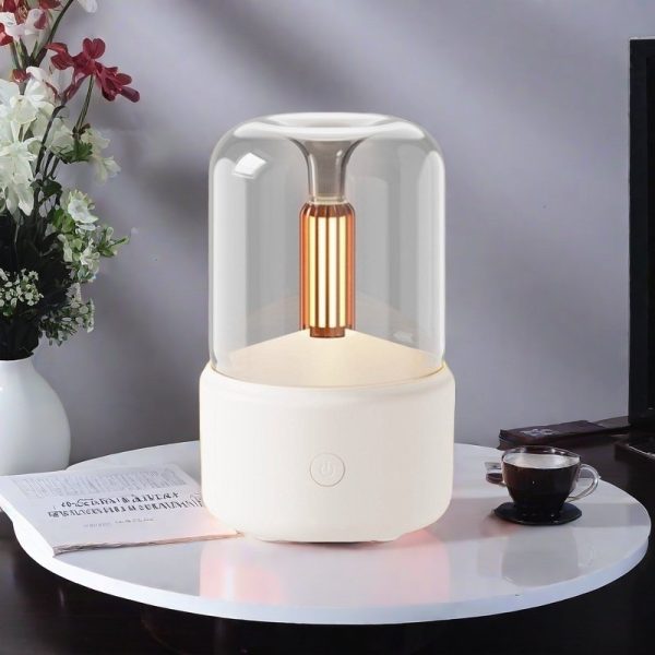 Best Rechargeable Ultrasonic Electric Diffuser and Humidifier for Essential Oils