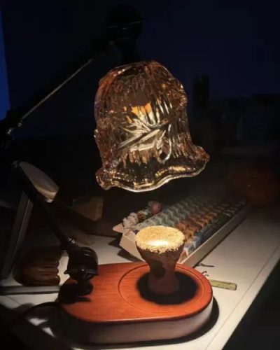 I absolutely adore this lamp warmer!