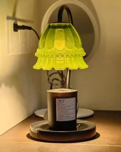 This little warmer has become a staple in my living room