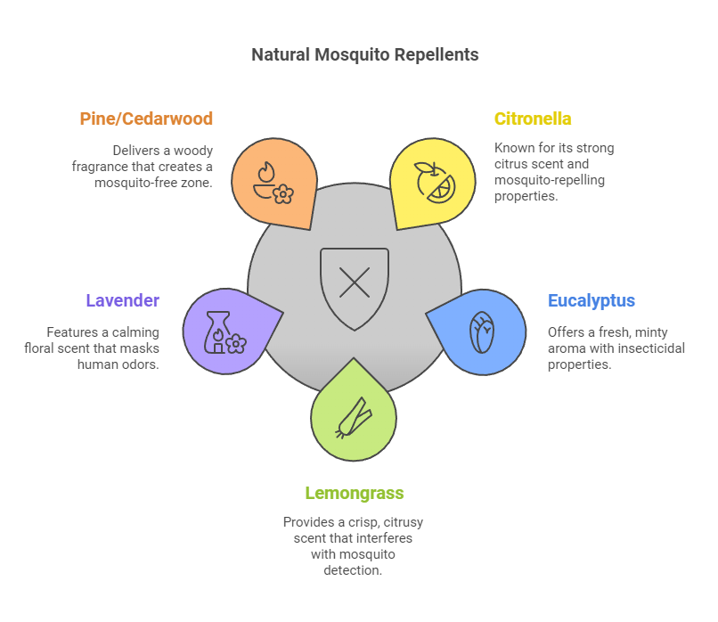 overview of the top five most effective mosquito repellent incense